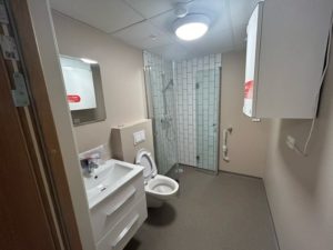 Fliser, gulv og maling